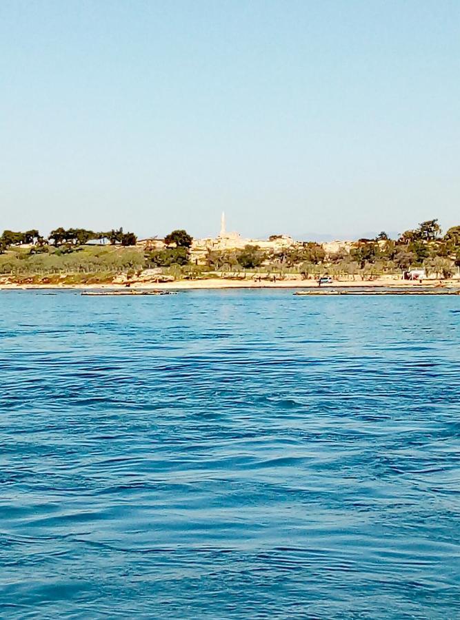 Lefteris Beautiful Aegina